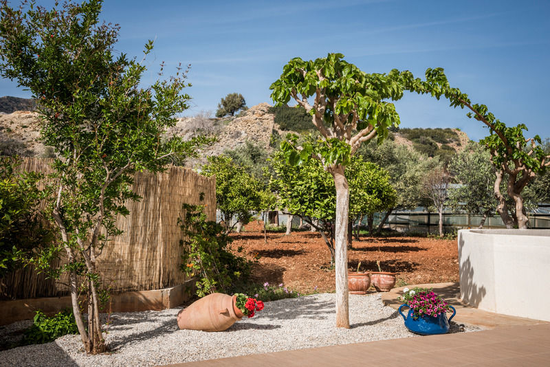Mear Apartments And Studios Gialos  Bagian luar foto
